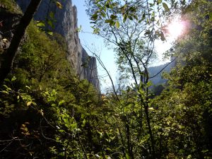 image096
